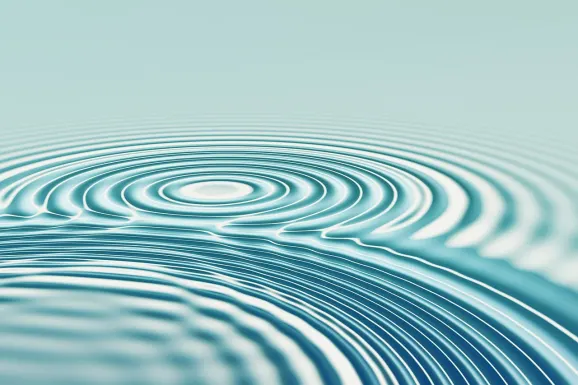 카지노 피엔엑스 벳 지원